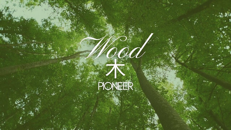 五行バランス診断 Wood